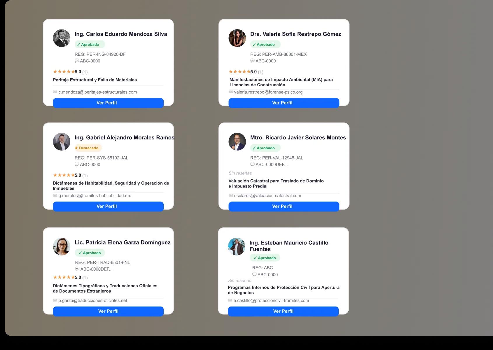 Seis perfiles de peritos certificados con registro, calificación, especialidad y botón Ver Perfil
